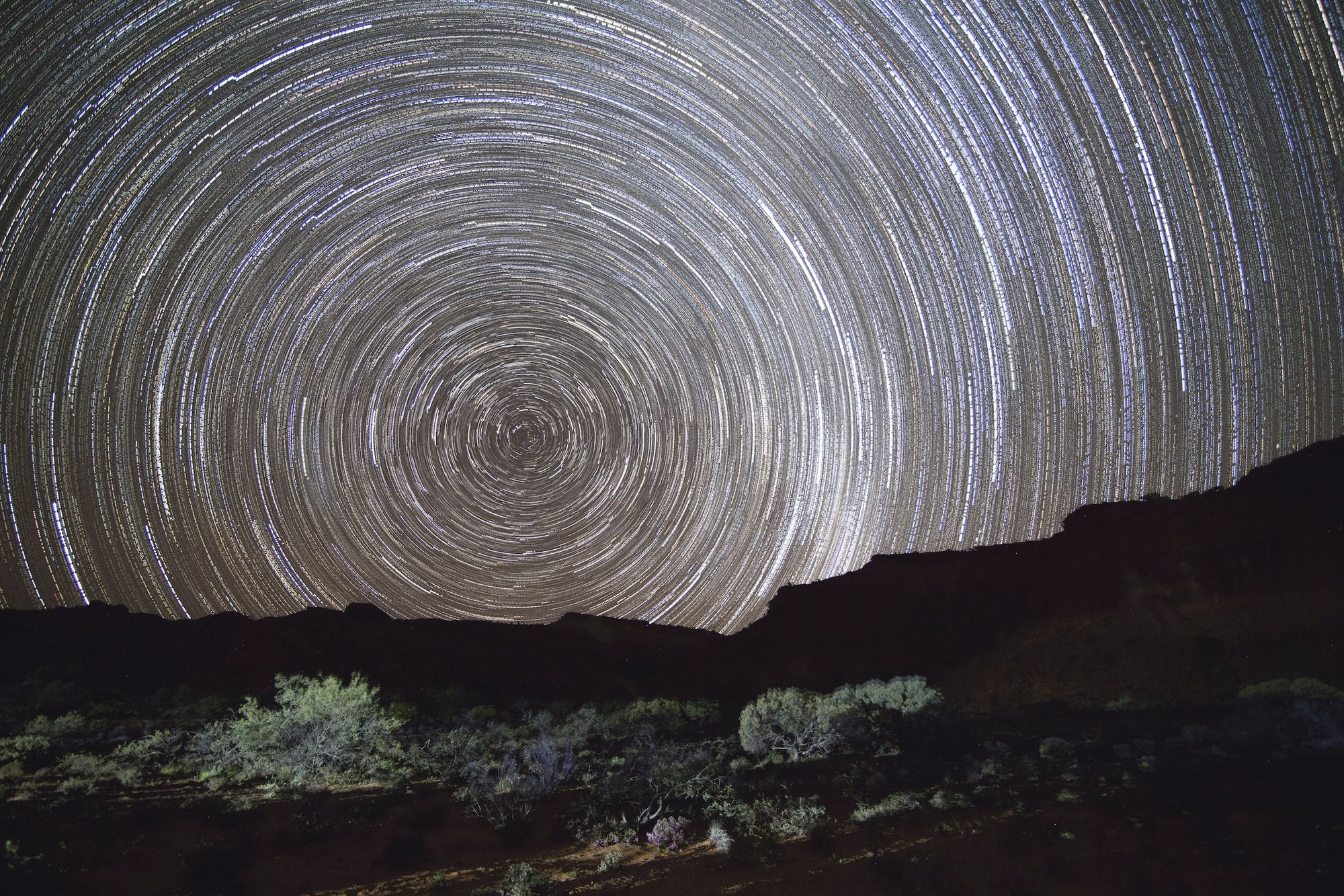 What is the role of ritual in building resilient communities?