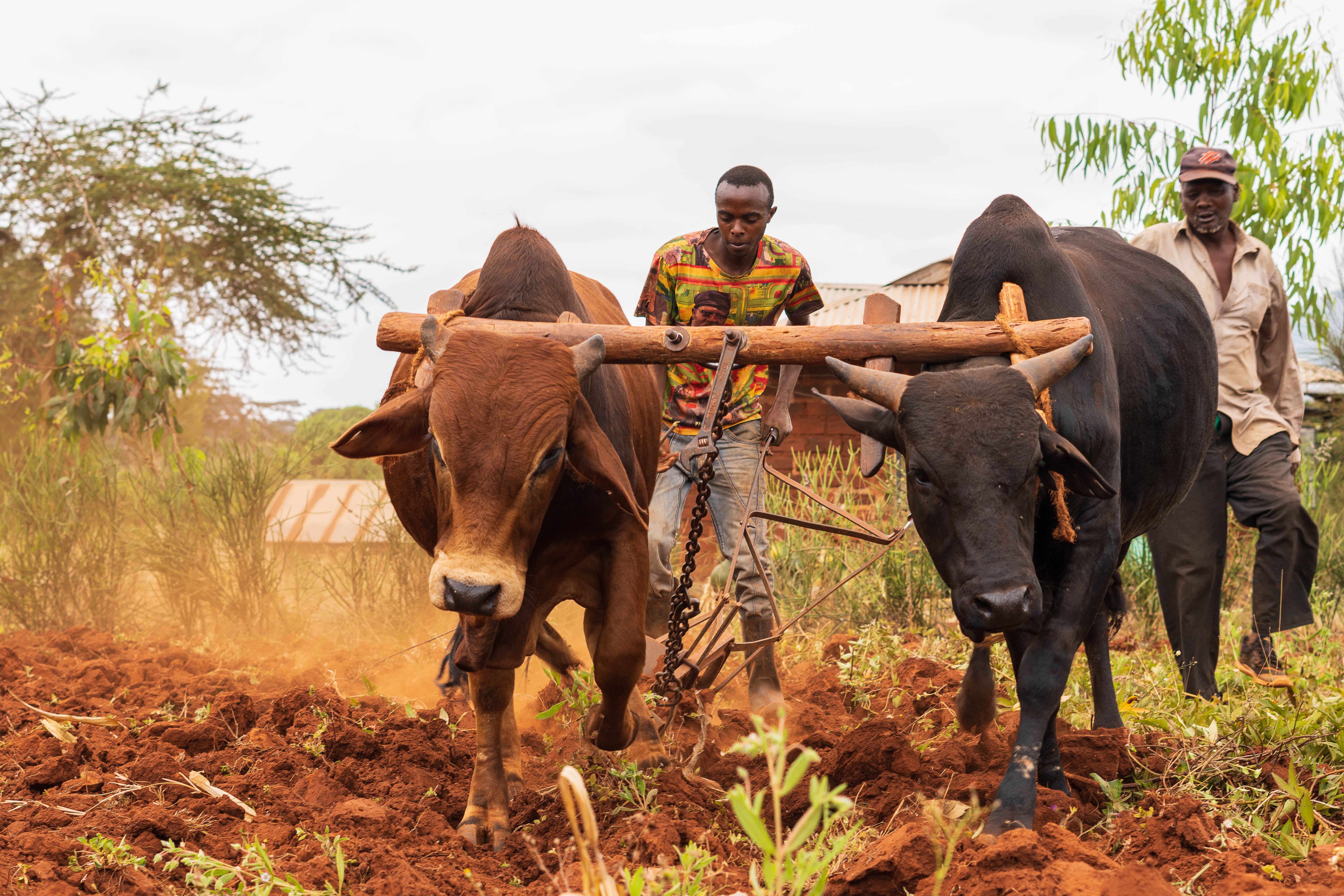 Minding the gap between funding and impact in Agritech