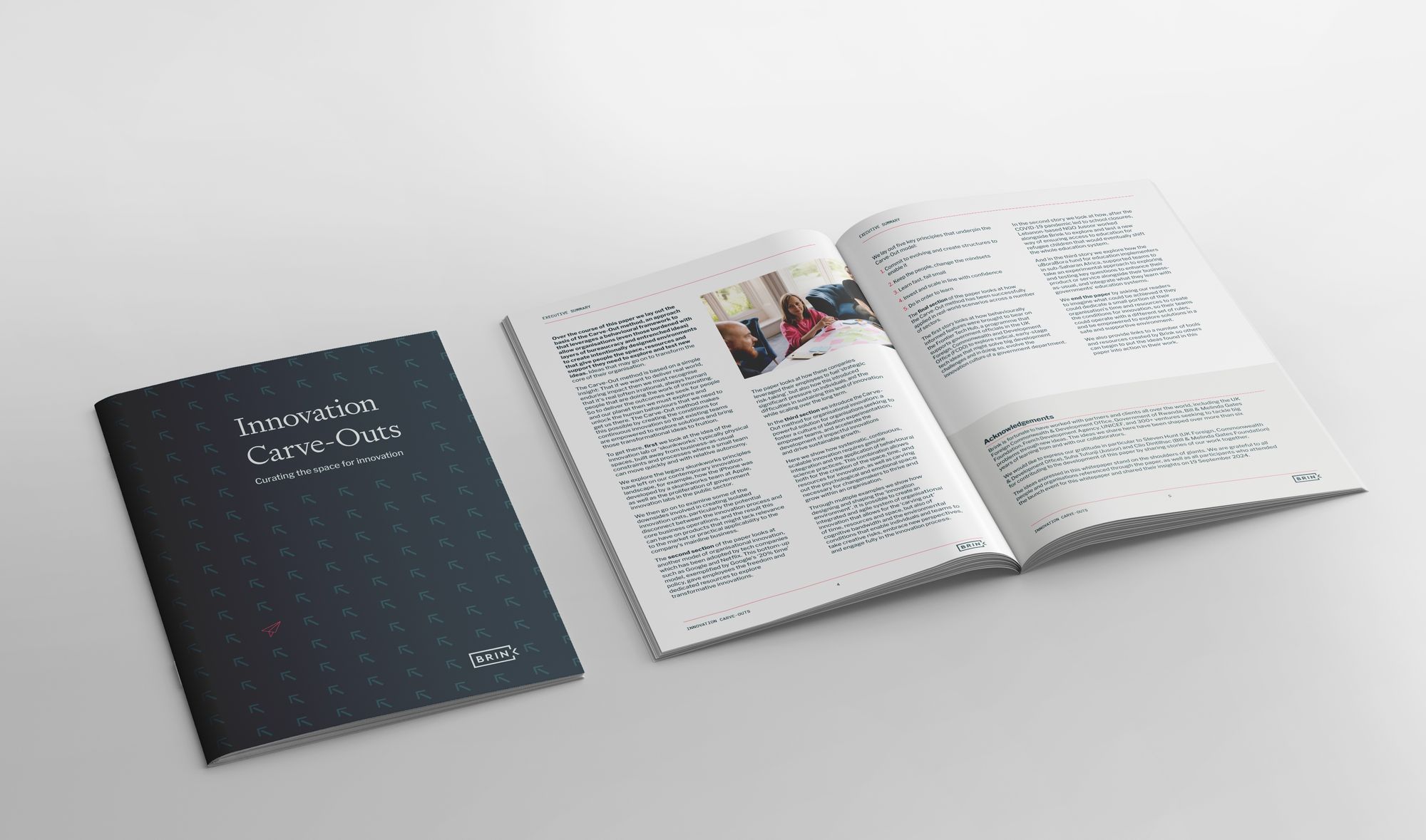 Cover artwork for Brink's Carve-Out whitepaper
