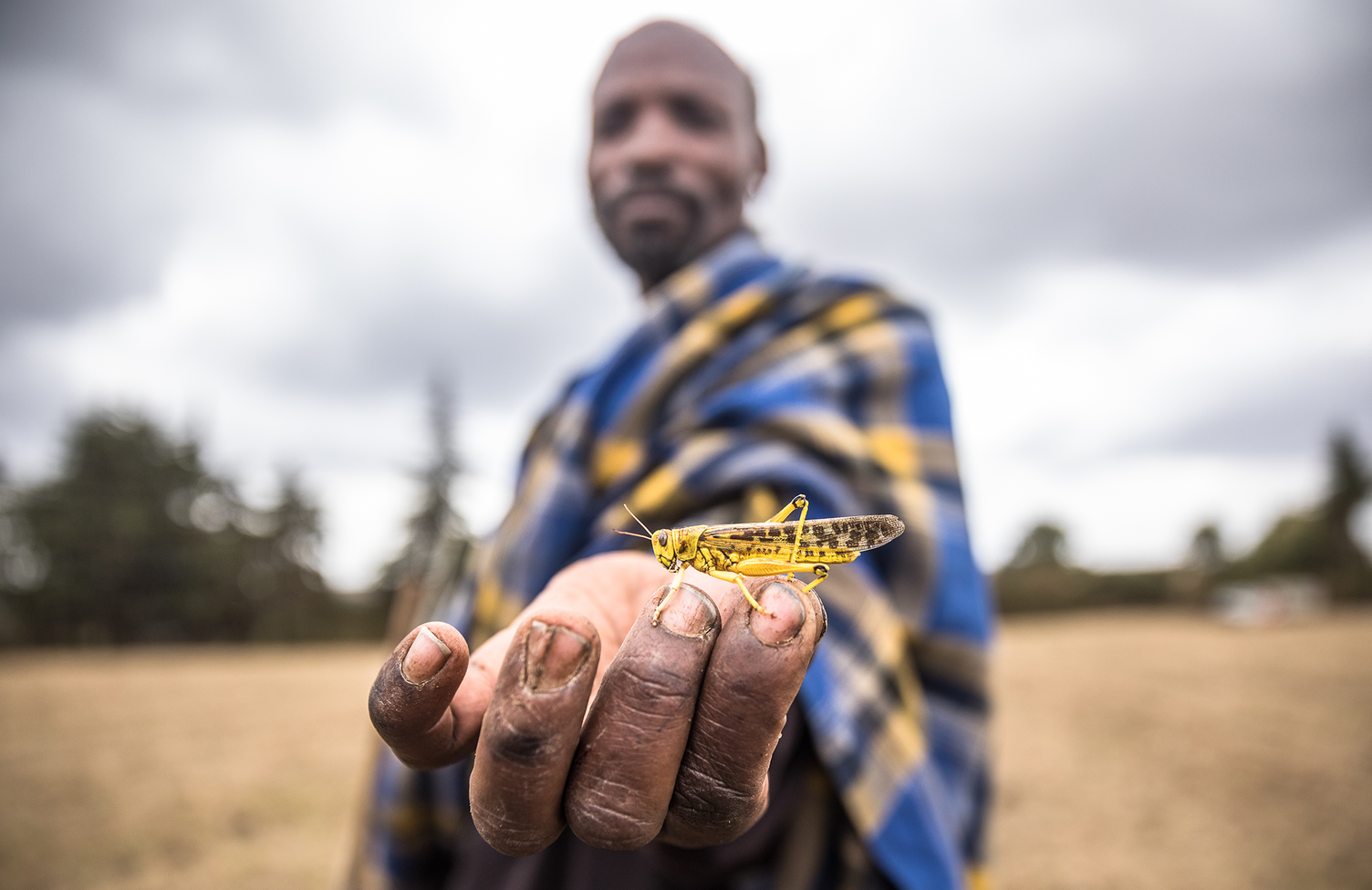 Field testing of a locust-control drone in Kenya